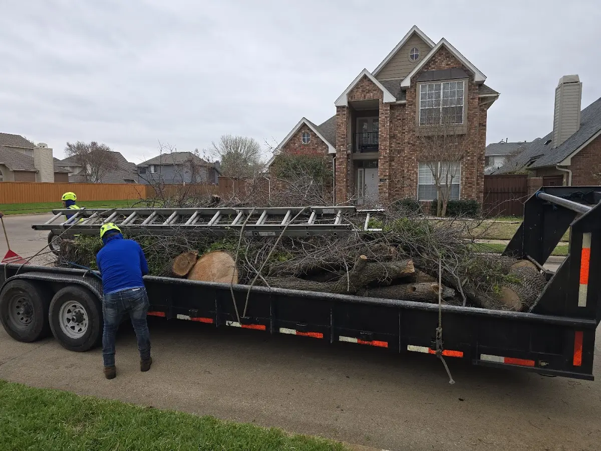 Expert Tree Removal with proper safety equipment in Montello